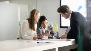 professional managing a portfolio project